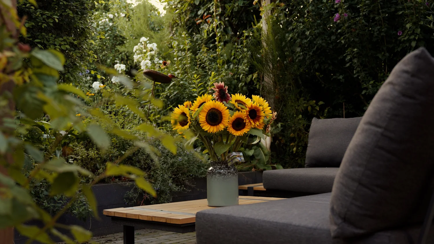 Zonnebloemen in nederasselt